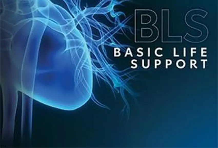Read more about the article BLS (Basic Life Support)
