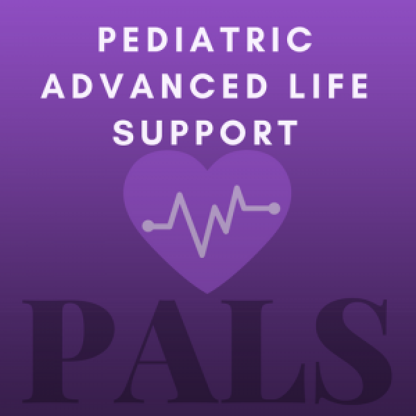 Read more about the article PALS (Pediatric Advanced Life Support)